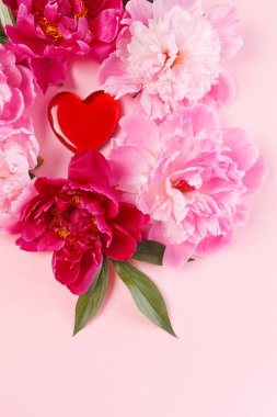 güzel pembe peonies