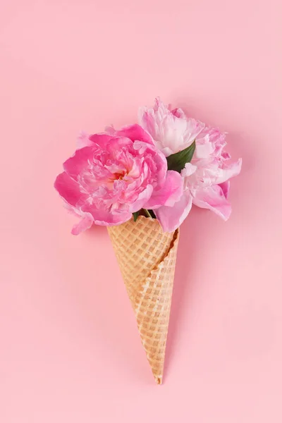 Flores de peonía en cono de gofre — Foto de Stock