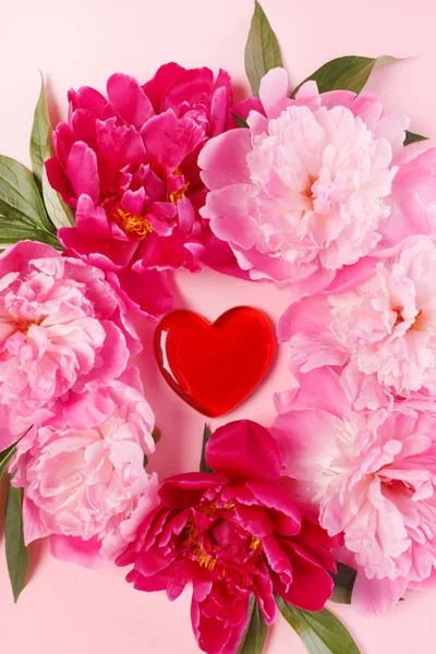 güzel pembe peonies