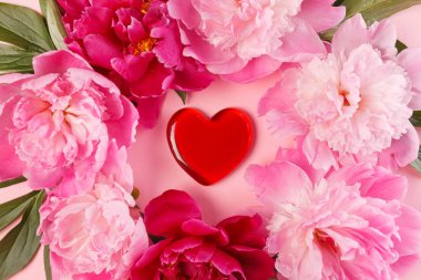 güzel pembe peonies