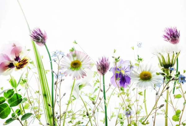 Ramo de flores de primavera — Foto de Stock