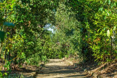 güzel bahçe sokakta