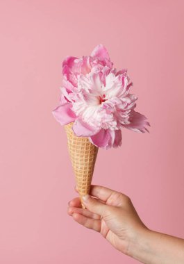 Şakayık gözleme koni