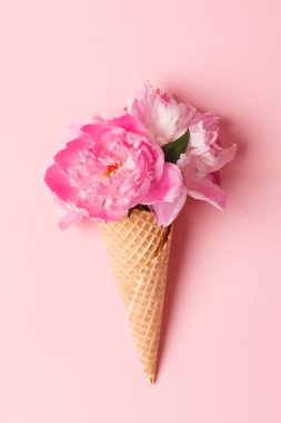 Şakayık çiçekleri gözleme koni