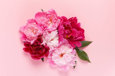 güzel pembe peonies