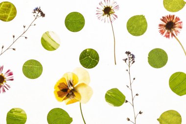 yaratıcı doğal arka plan