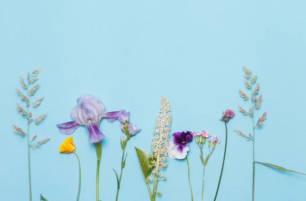 Wiersz z suchych kwiatów — Zdjęcie stockowe