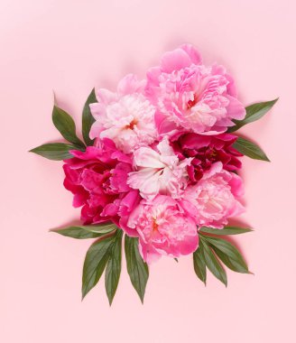 güzel taze peonies 