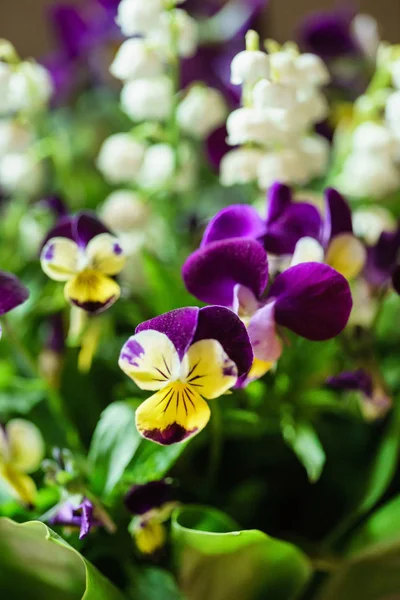 Bouquet primavera tenero — Foto Stock