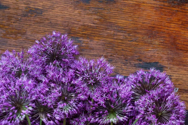 Paarse bloemen op tafel — Stockfoto