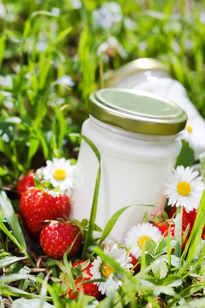 Yogur orgánico en la hierba —  Fotos de Stock