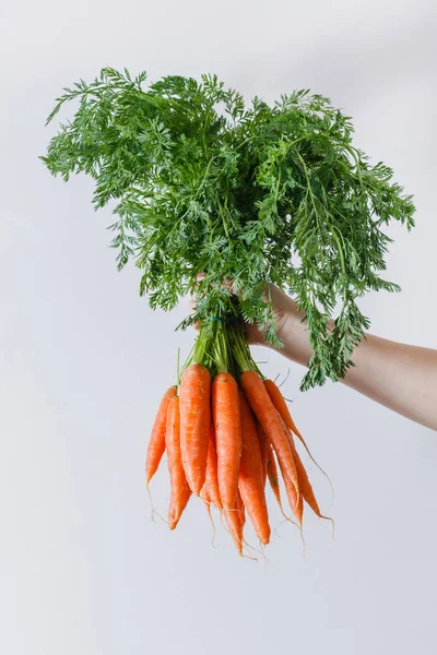 Zanahorias frescas maduras —  Fotos de Stock