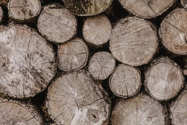 Tapete aus Holzstämmen — Stockfoto