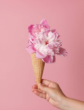 Şakayık gözleme koni