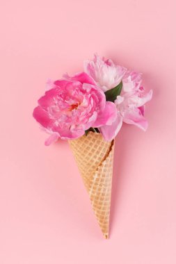 Pembe şakayık çiçekleri