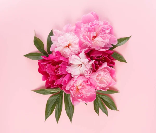 güzel taze peonies 