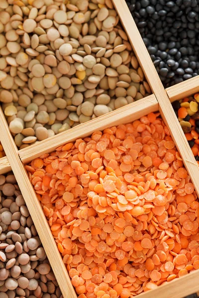 Different grades of dried lentils — Stock Image Different grades of dried lentils Royalty Free Stock Photos
