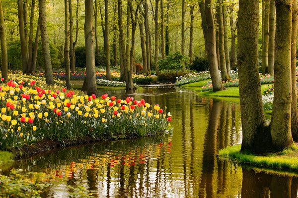 Blossoming spring garden