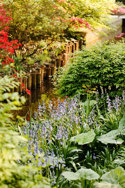 Vacker natur i vårträdgård — Stockfoto