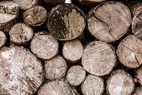 Holzstämme Textur — Stockfoto