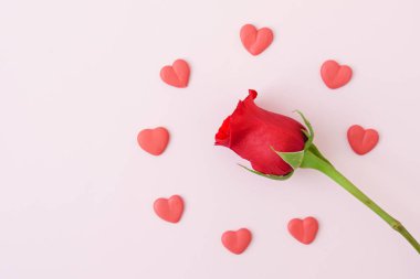 kırmızı gül ve kalpleri ile kartı