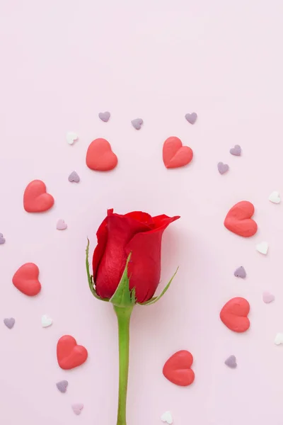 Card with red rose and hearts — Stock Photo, Image