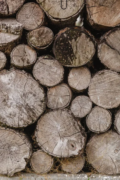Troncos de madera textura — Foto de Stock