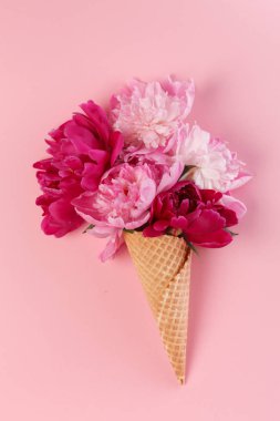 Şakayık çiçekleri gözleme koni