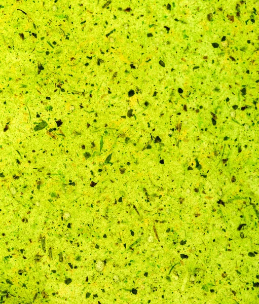 Živá zelená textura — Stock fotografie
