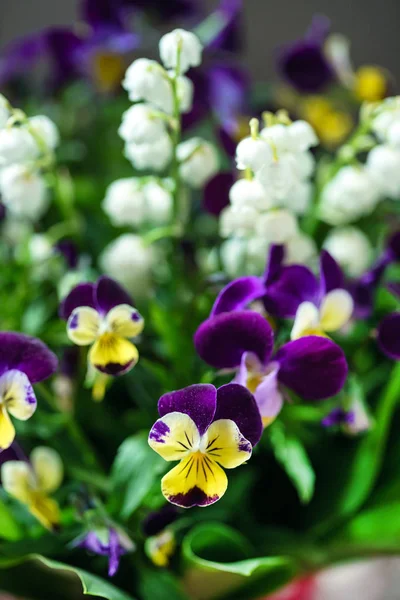 Buquê de primavera fresco — Fotografia de Stock