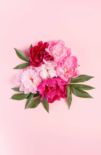 İhale peonies çelenk — Stok fotoğraf