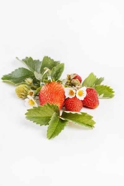 Fresh strawberries and leaves — Stock Photo, Image
