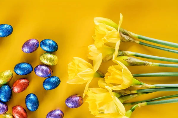 Sarı nergis ve çikolata yumurta — Stok fotoğraf