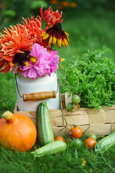 Fresh garden vegetables and flowers — Stock Photo, Image