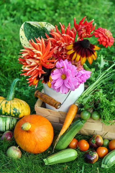 Fresh garden vegetables and flowers — Stock Photo, Image