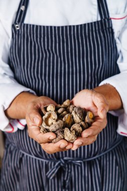 chef holding shiitake in hands clipart