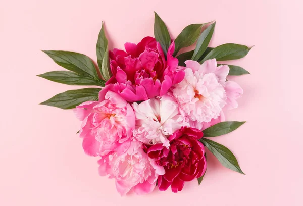 Tender colorful peonies — Stock Photo, Image