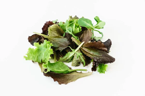 Pile de feuilles de salade fraîches — Photo