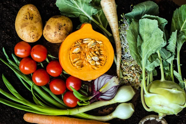 Produtos hortícolas biológicos frescos — Fotografia de Stock