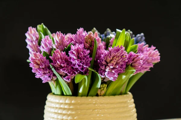 Fresh spring flowers — Stock Photo, Image