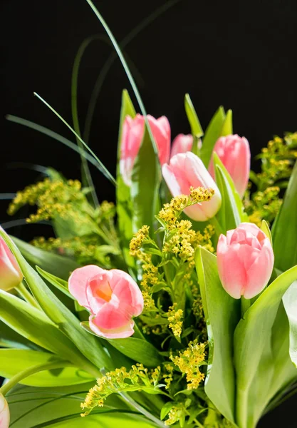 Frische Frühlingsblumen — Stockfoto