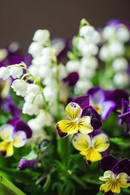 Güzel bahar çiçekleri