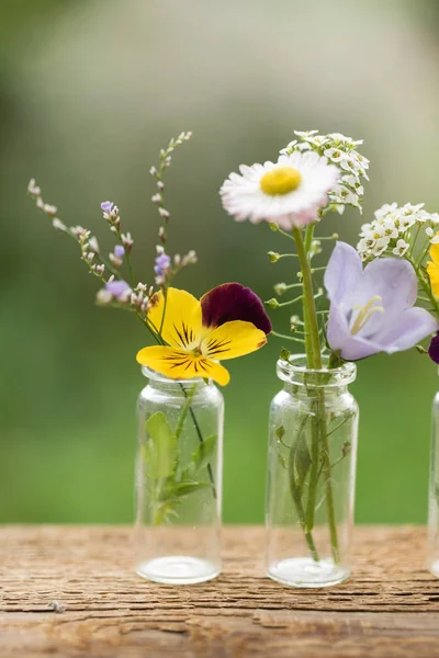 Güzel çiçekler, şişeli — Stok fotoğraf