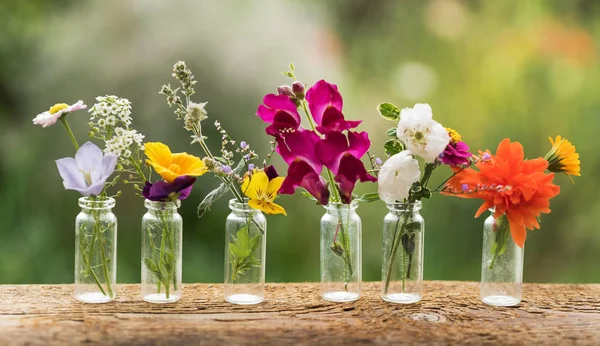 Schöne Blumen in den Flaschen — Stockfoto