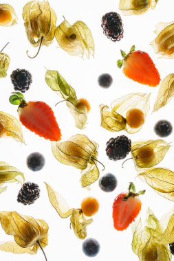 Olgun taze çilek doku