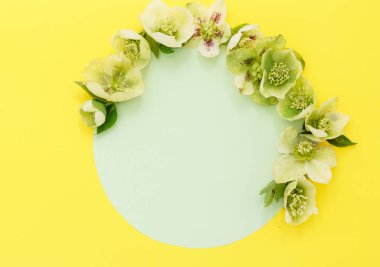 Yumuşak bahar çiçekleri