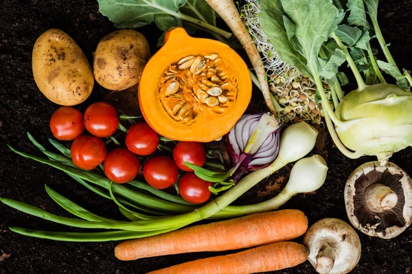 Légumes frais biologiques — Photo