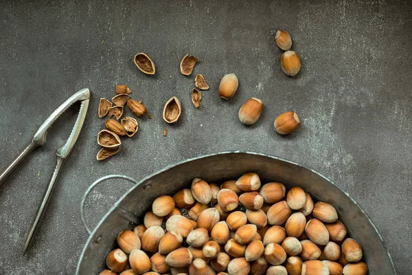 Nueces maduras de avellanas en tazón — Foto de Stock