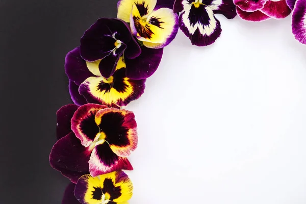 Cornice di fiori viola — Foto Stock