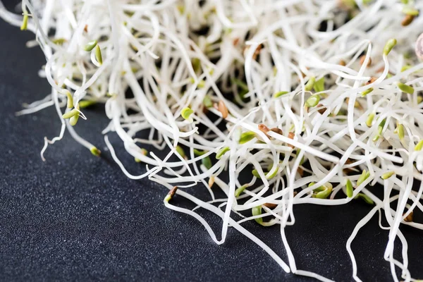 Fresh little sprouts — Stock Photo, Image